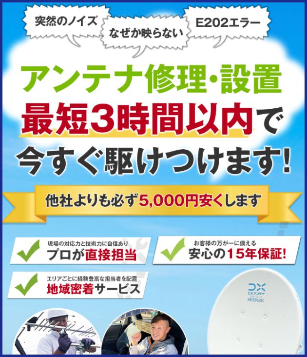 アンテナパンダ