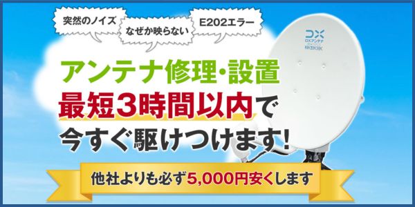アンテナパンダ